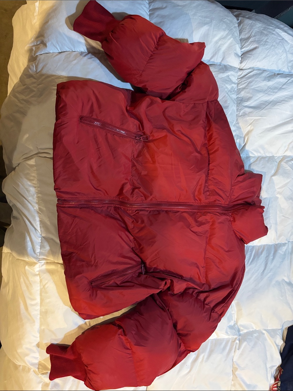 Red Puffer Jacket - Cozy Puff Coat